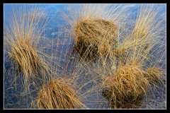 1015175_on1_s5_hexanon40mm