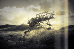 1015247_neo_s5_hexanon40mm_analog5