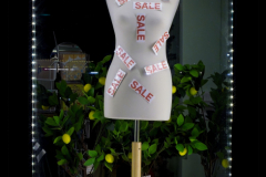 1015619_ON1_s5_minotla_35_70mm