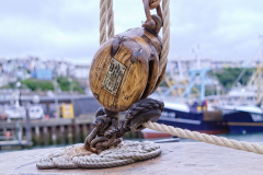 1080767_on1_DIGILUX3