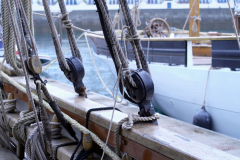 1080785_on1_DIGILUX3