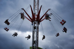 Carl Zeiss Jena 50mm f2.8 | Vintage Lenses | The Creative Camera