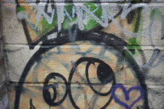 Pentax SMC 55mm f1.8 | Vintage Lenses | The Creative Camera 