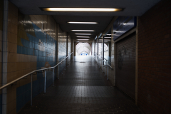 Konica AR Hexanon 40mm f1.8 | Vintage Lenses | The Creative Camera