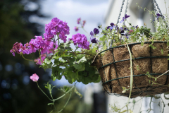 Pentax SMC 55mm f1.8 | Vintage Lenses | The Creative Camera 