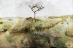 Dartmoor Wilderness by Charles David