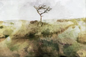 Dartmoor Wilderness is a fine wall art abstract landscape print by Charles David | The Creative Camera