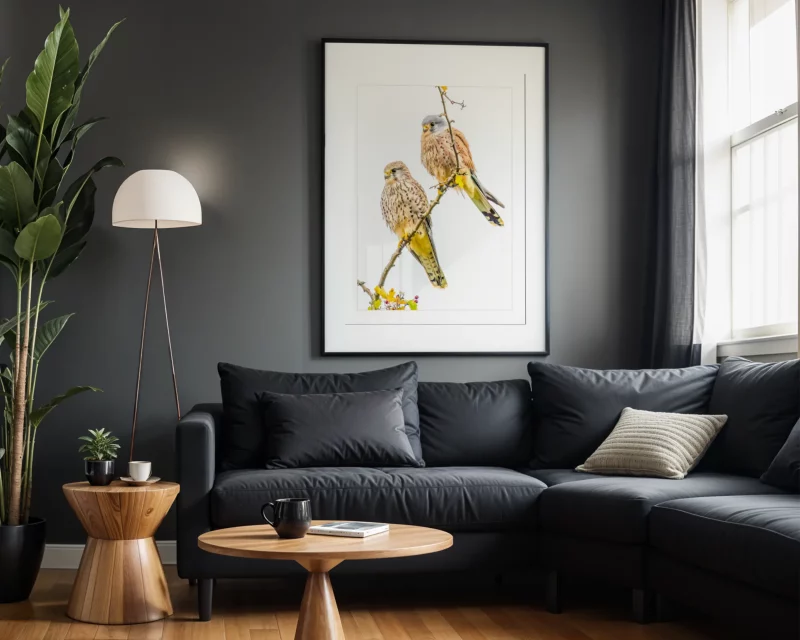 Kestrel Pair by Stuart Chapman