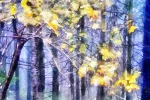 Woodland sparkle is colourful digital watercolour by artist Charles David