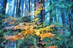 Searching for Sunlight is a beautiful digitally painted impressionist print by Charles David depicting a young saplings search for sunlight in a dense forest