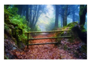 Woodland Path is a beautiful digital painting created from a unique photograph by Charles David