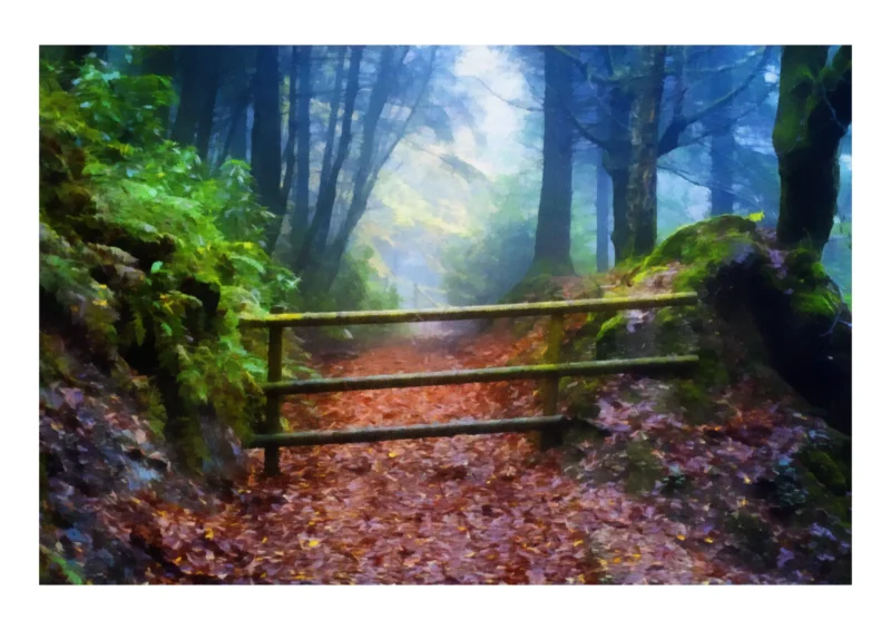 Woodland Path is a beautiful digital painting created from a unique photograph by Charles David