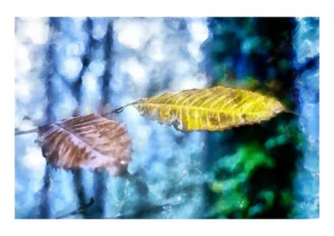 Autumn Leaves is colourful digital watercolour by artist Charles David
