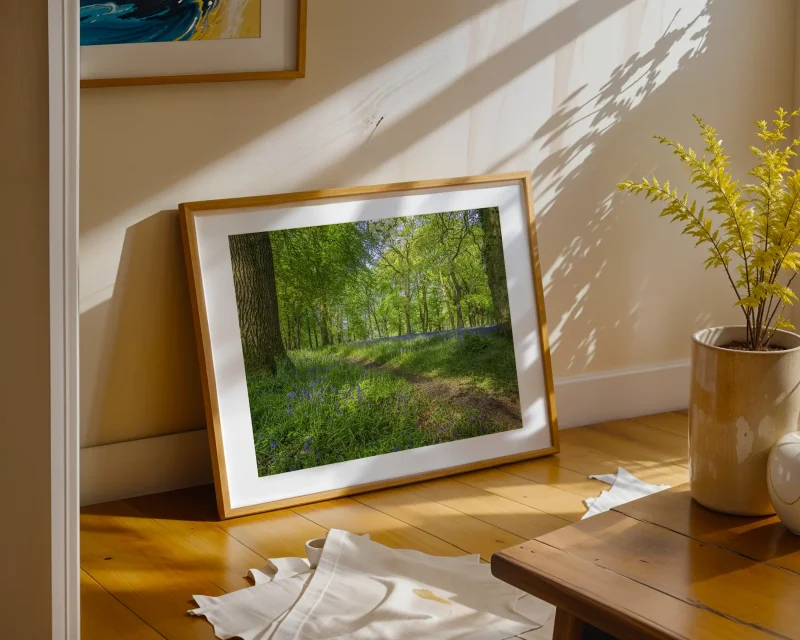 Bluebell Walk is a limited edition fine art print crafted by photographer Stuart Anthony Chapman