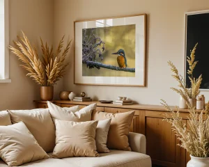 Frosty Perch depicts the beautiful and enigmatic Kingfisher at rest. A Photograph from Stuart Chapman