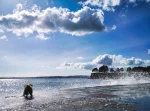 Happy Wet Dog is a playful photograph by Charles David of a dog playing in sea spray