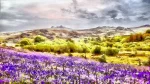 Bluebell wilderness features glorious Dartmoor National Park in a blaze of spring colour. A digital watercolour painting by Charles David
