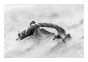 A frayed length of rope emerges from the pale sand, as if the tide had only just revealed it. A print from an original photography by Stuart Chapman