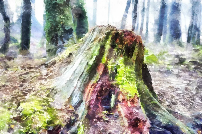Stumped is a digital watercolour crafted as a fine art print by digital artist Charles David from an original photograph