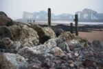 This segmented abstract print created by Charles Davis is of Exmouth View Over The Exe.