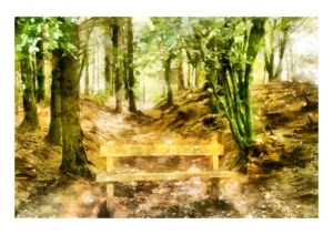 A Seat in the Wilderness is a fine art print by Charles David depicting a quiet refuge at the forest’s edge