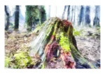 Stumped is a digital watercolour crafted as a fine art print by digital artist Charles David from an original photograph