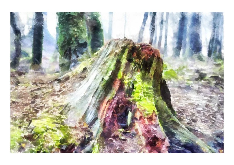 Stumped is a digital watercolour crafted as a fine art print by digital artist Charles David from an original photograph