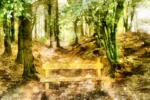 A Seat in the Wilderness is a fine art print by Charles David depicting a quiet refuge at the forest’s edge