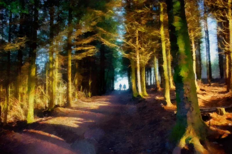 Don't Go into the Light, Haldon Forest South Devon is impressionist fine art print by digital artist Charles David