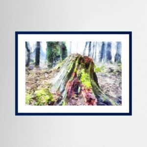 Stumped is a digital watercolour crafted as a fine art wall print by digital artist Charles David | The Creative Camera