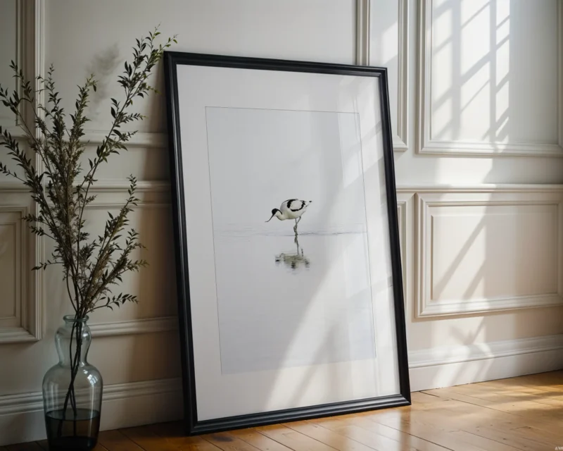 Avocet in Serene Waters is a Limited Edition Print by photographer Stuart Chapman | The Creative Camera