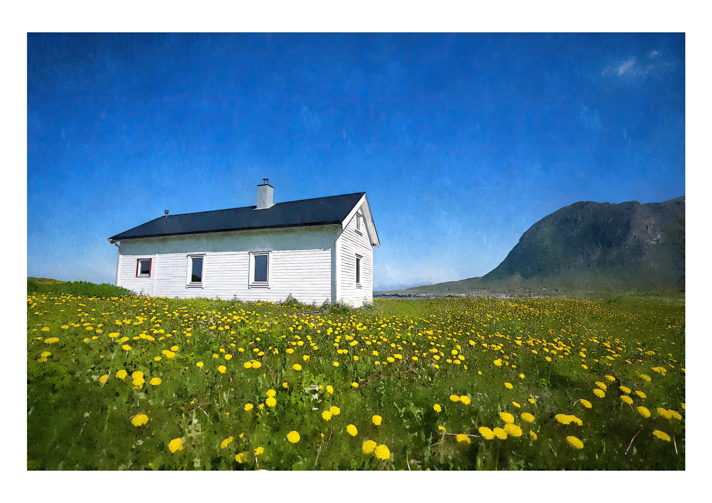 Lofoten Cottage on a Spring Morning - a fine art print by Alex Hamer | The Creative Camera