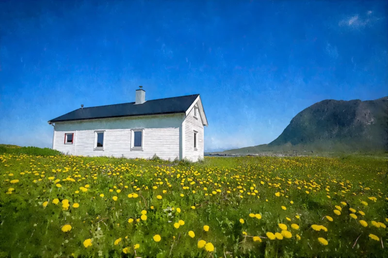 Lofoten Cottage on a Spring Morning - a fine art print by Alex Hamer | The Creative Camera