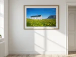 Lofoten Cottage on a Spring Morning - a fine art print by Alex Hamer | The Creative Camera