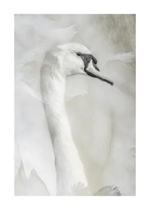 Serenity – The Grace of the Swan is a minimalist limited edition fine art print by Stuart Chapman | The Creative Camera