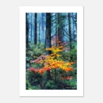 49a6fdde-b9c1-4422-8ad6-eb57c16460b6.webp Life Springs Eternal is a fine art print from artist Charles David | The Creative Camera.