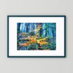 Searching for Sunlight - Haldon Forest Devon Woodland Art Searching for Sunlight - Haldon Forest Devon Woodland Art by Charles David | The Creative Camera