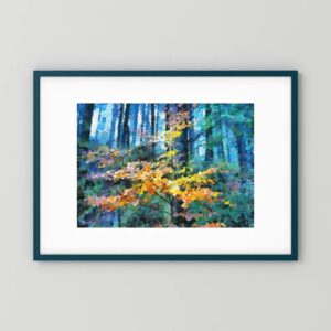 Searching for Sunlight - Haldon Forest Devon Woodland Art by Charles David | The Creative Camera