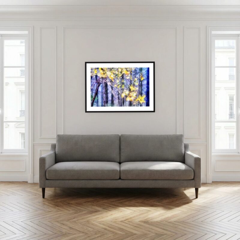 Woodland Sparkle - Haldon Forest, South Devon is a framed fine art print created by artist Charles David | The Creative Camera