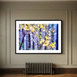 Woodland Sparkle - Haldon Forest, South Devon is a framed fine art print created by artist Charles David | The Creative Camera