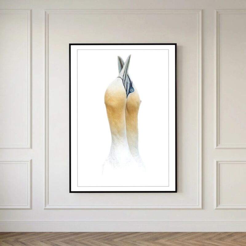 Embrace, a canvas print available in a variety of sizes by Stuart Chapman | The Creative Camera
