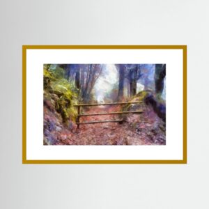 Woodland Path – Haldon Forest, Devon Woodlands by digital artist Charles David | The Creative Camera