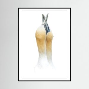 Embrace Framed Canvas Print
