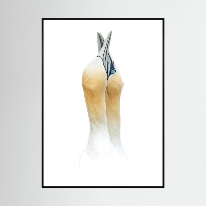 mockup-storefront.jpg Embrace Framed Canvas Print