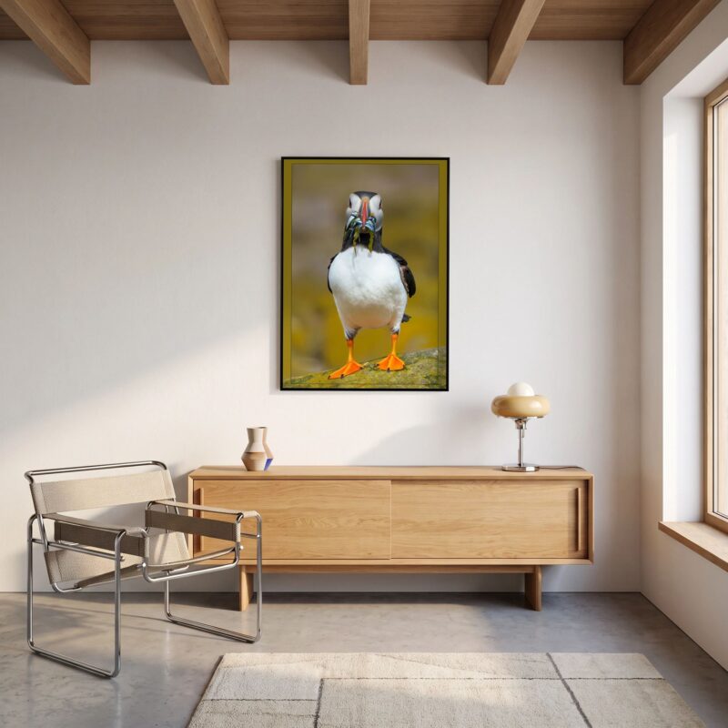 Lunch | A Contemporary Wildlife Fine Art Wall Canvas, Black frame
