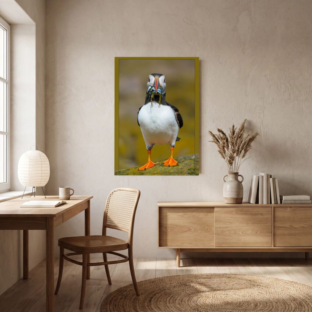 Lunch | A Contemporary Wildlife Fine Art Wall Canvas, Unframed