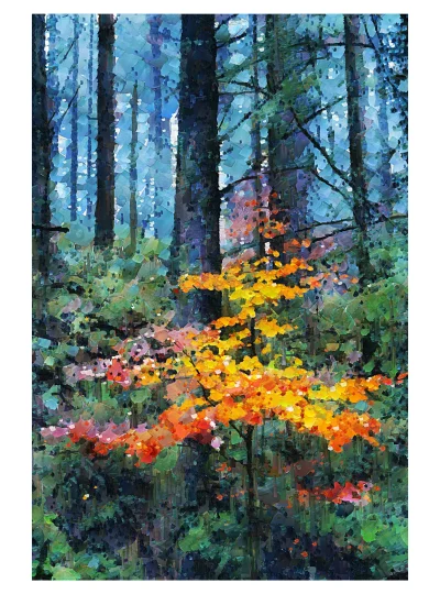 Life Springs Eternal is a fine art print from artist Charles David | The Creative Camera.